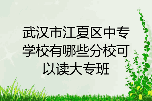 武汉市江夏区中专学校有哪些分校可以读大专班