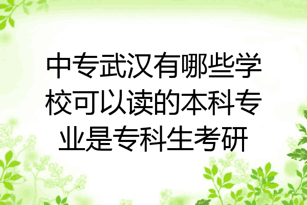 中专武汉有哪些学校可以读的本科专业是专科生考研