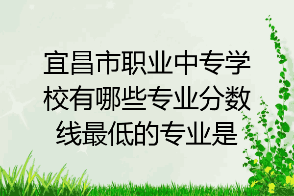 宜昌市职业中专学校有哪些专业分数线最低的专业是