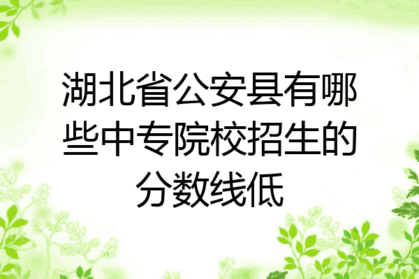 湖北省公安县有哪些中专院校招生的分数线低