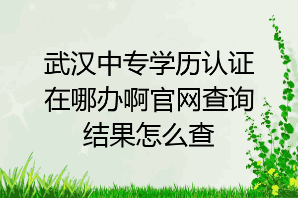 武汉中专学历认证在哪办啊官网查询结果怎么查