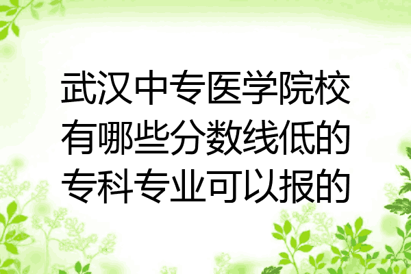 武汉中专医学院校有哪些分数线低的专科专业可以报的