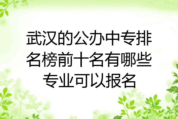 武汉的公办中专排名榜前十名有哪些专业可以报名