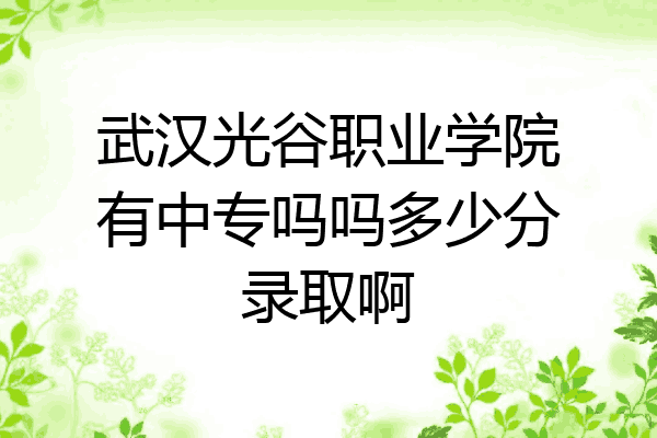 武汉光谷职业学院有中专吗吗多少分录取啊