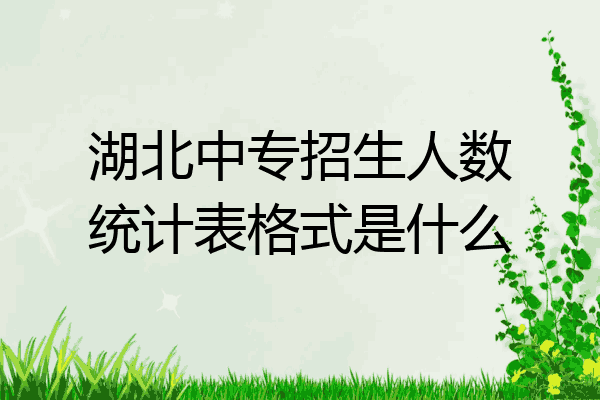 湖北中专招生人数统计表格式是什么