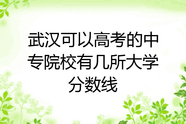 武汉可以高考的中专院校有几所大学分数线