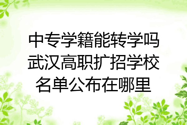 中专学籍能转学吗武汉高职扩招学校名单公布在哪里