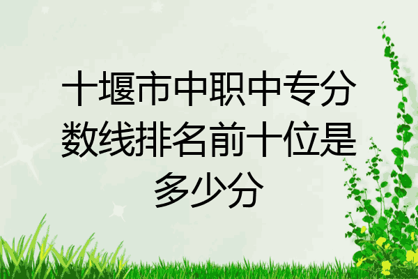 十堰市中职中专分数线排名前十位是多少分