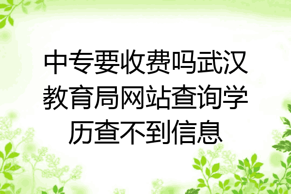 中专要收费吗武汉教育局网站查询学历查不到信息