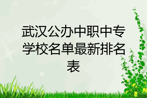 武汉公办中职中专学校名单最新排名表