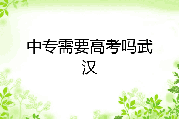 中专需要高考吗武汉