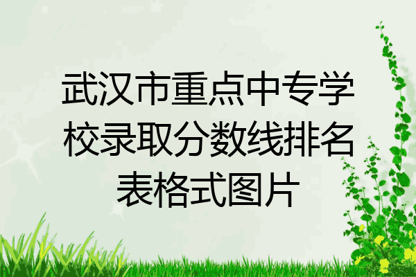 武汉市重点中专学校录取分数线排名表格式图片
