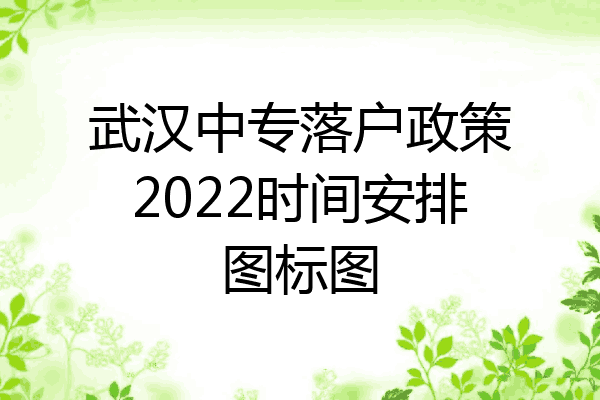 武汉中专落户政策2022时间安排图标图