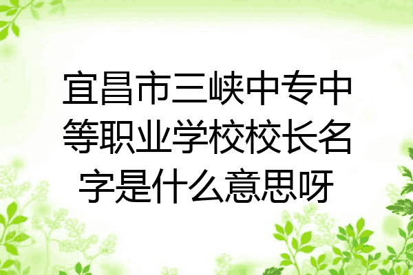 宜昌市三峡中专中等职业学校校长名字是什么意思呀