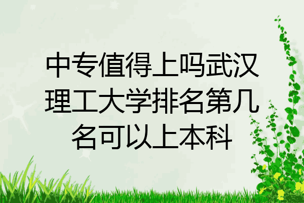 中专值得上吗武汉理工大学排名第几名可以上本科