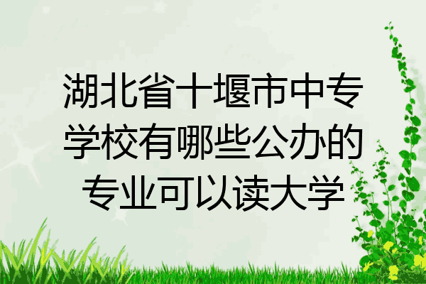 湖北省十堰市中专学校有哪些公办的专业可以读大学