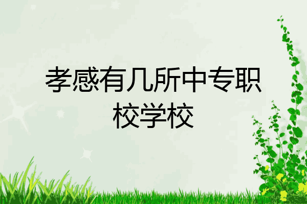 孝感有几所中专职校学校