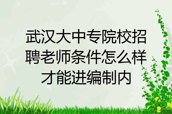 武汉大中专院校招聘老师条件怎么样才能进编制内