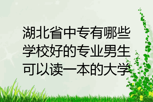 湖北省中专有哪些学校好的专业男生可以读一本的大学