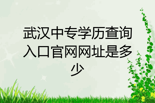 武汉中专学历查询入口官网网址是多少