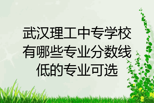 武汉理工中专学校有哪些专业分数线低的专业可选