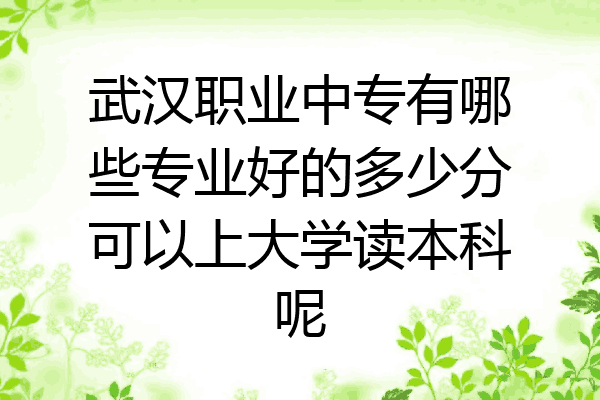 武汉职业中专有哪些专业好的多少分可以上大学读本科呢