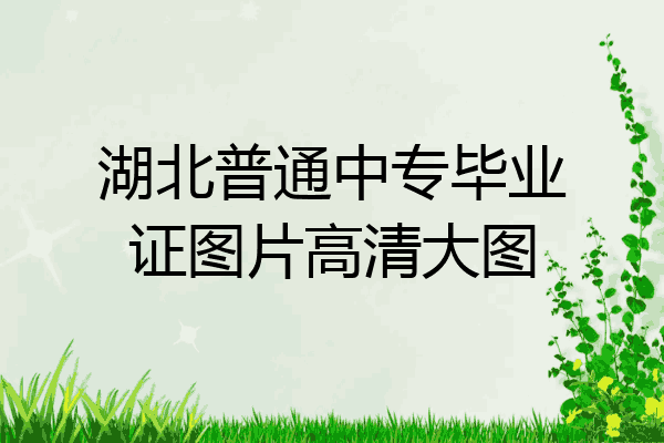 湖北普通中专毕业证图片高清大图
