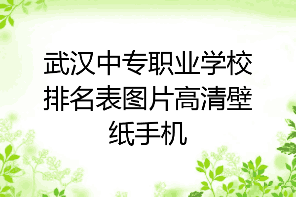 武汉中专职业学校排名表图片高清壁纸手机