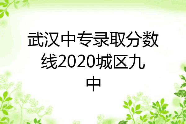 武汉中专录取分数线2020城区九中