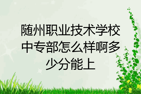 随州职业技术学校中专部怎么样啊多少分能上