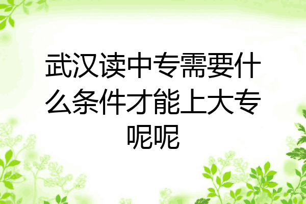 武汉读中专需要什么条件才能上大专呢呢