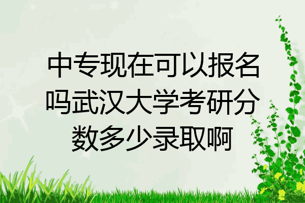中专现在可以报名吗武汉大学考研分数多少录取啊