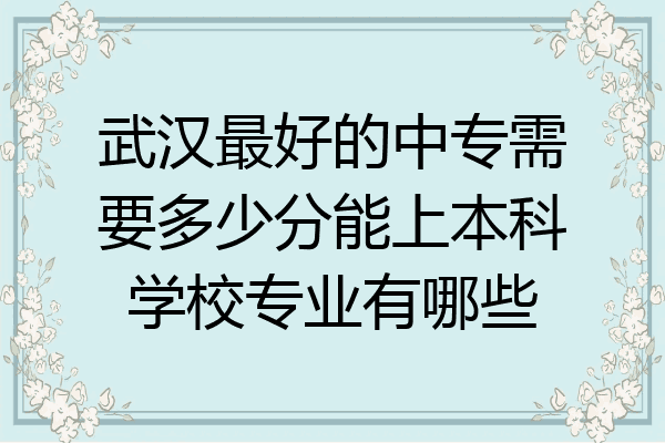 武汉最好的中专需要多少分能上本科学校专业有哪些