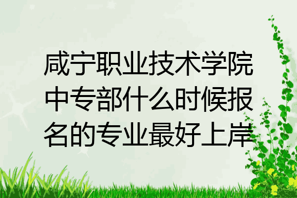 咸宁职业技术学院中专部什么时候报名的专业最好上岸