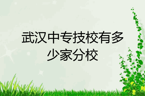 武汉中专技校有多少家分校