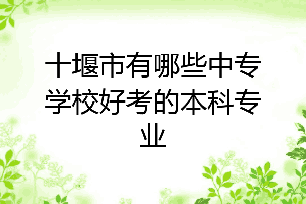 十堰市有哪些中专学校好考的本科专业