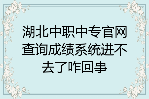 湖北中职中专官网查询成绩系统进不去了咋回事