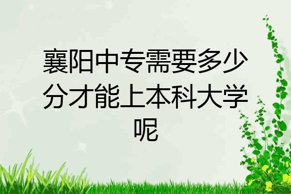襄阳中专需要多少分才能上本科大学呢
