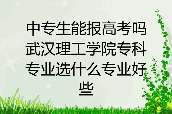 中专生能报高考吗武汉理工学院专科专业选什么专业好些