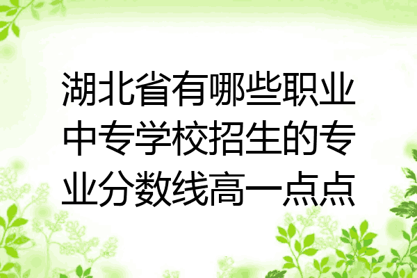 湖北省有哪些职业中专学校招生的专业分数线高一点点