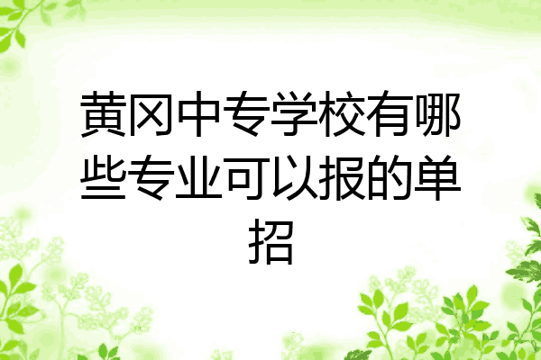 黄冈中专学校有哪些专业可以报的单招