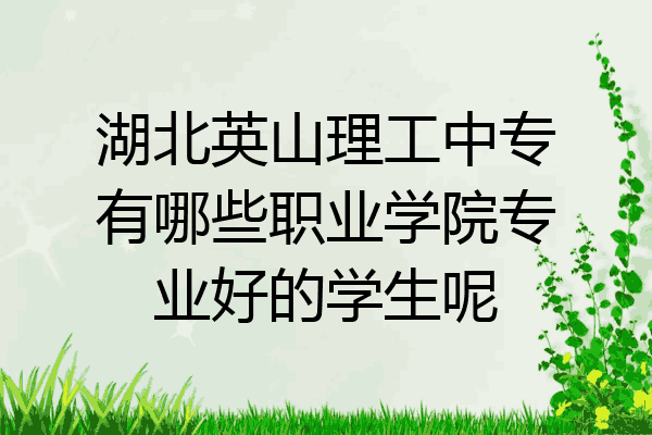 湖北英山理工中专有哪些职业学院专业好的学生呢