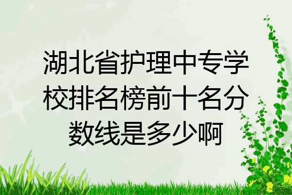 湖北省护理中专学校排名榜前十名分数线是多少啊