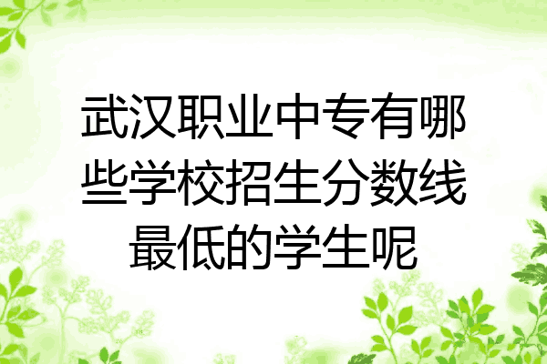 武汉职业中专有哪些学校招生分数线最低的学生呢