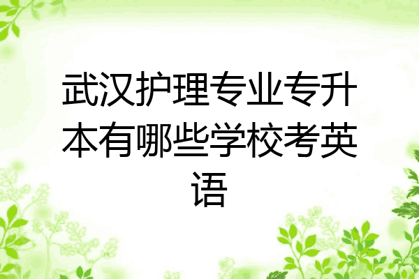 武汉护理专业专升本有哪些学校考英语
