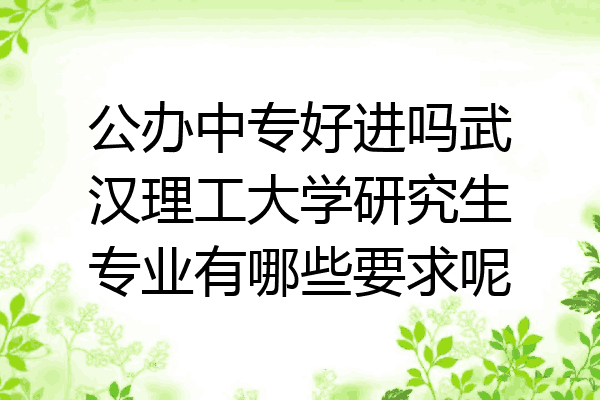 公办中专好进吗武汉理工大学研究生专业有哪些要求呢