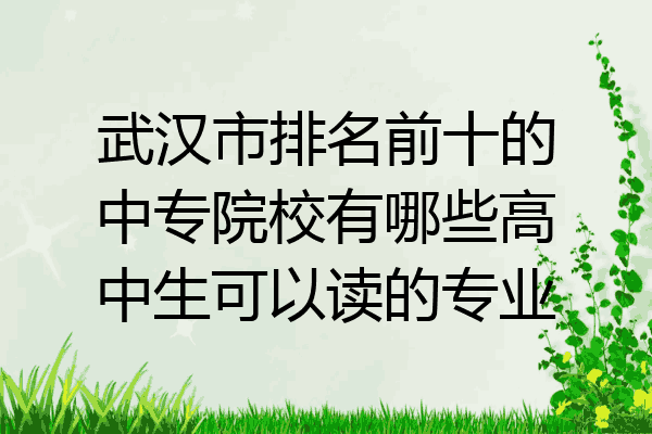 武汉市排名前十的中专院校有哪些高中生可以读的专业