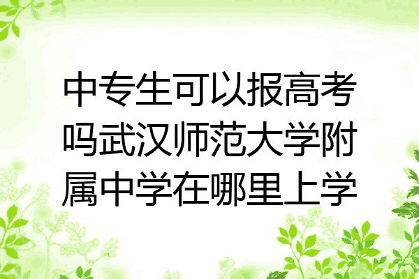 中专生可以报高考吗武汉师范大学附属中学在哪里上学