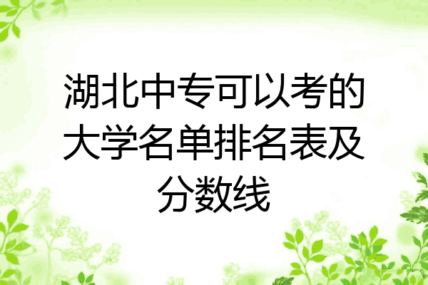 湖北中专可以考的大学名单排名表及分数线