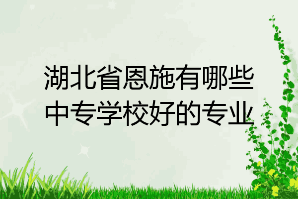 湖北省恩施有哪些中专学校好的专业